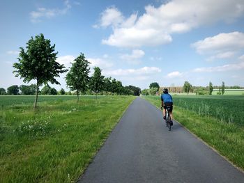 Rear view of person riding bicycle on road