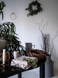 Potted plants on table at home