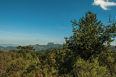 Panoramic view of forest and peak known as bau peak, near campos do jordao, brazil