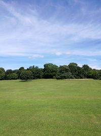 Trees on field against sky