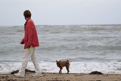 Rear view of man with dog walking on beach