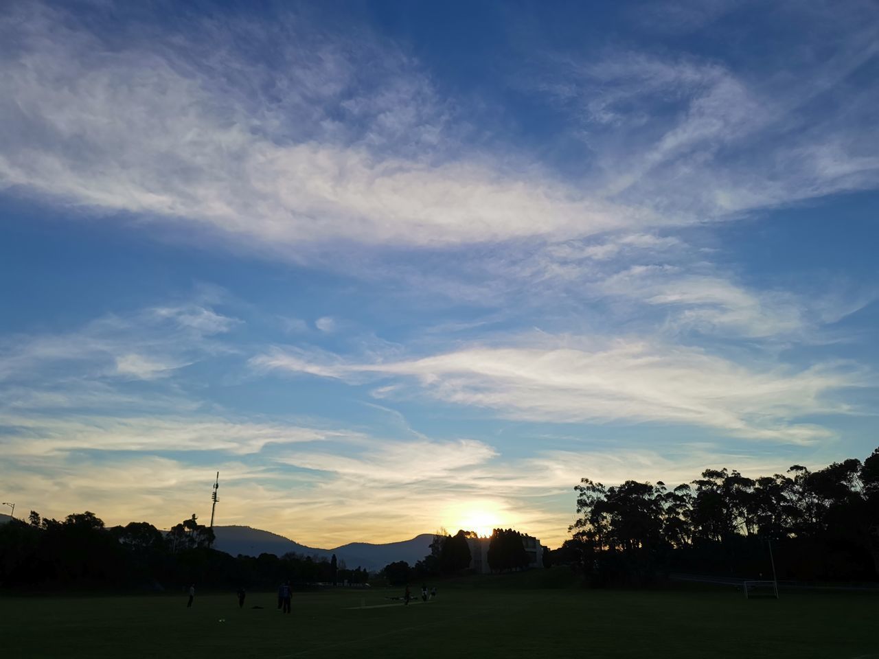 SILHOUETTE OF TREES ON FIELD AGAINST SKY