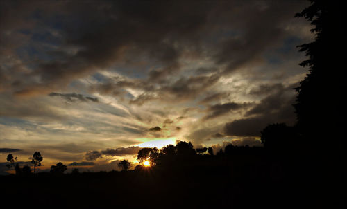 Silhouette trees against sky during sunset