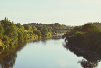 Reflection of trees in river