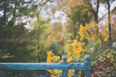 Close-up of railing against trees