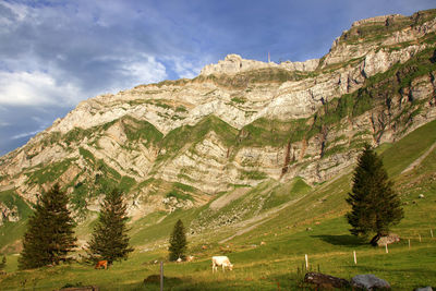 Scenic view of landscape and mountains against sky