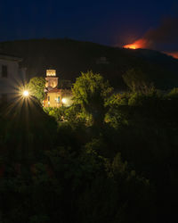 Trees and illuminated buildings against sky at night