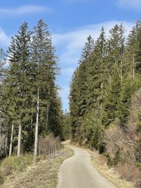 Empty road amidst trees against sky