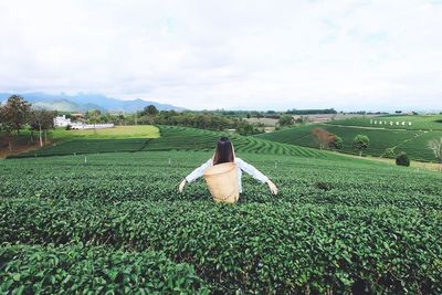 Scenic view of agricultural field against sky