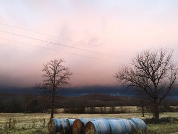 Bare trees on field against sky