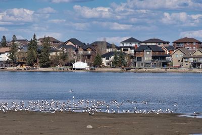 View of sea and buildings in city
