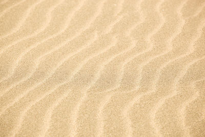 Full frame shot of sand dune