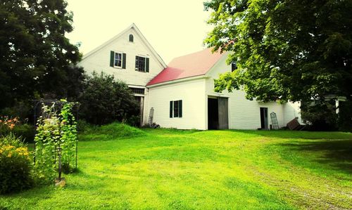 Houses on grassy field