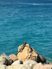 Rocks on beach