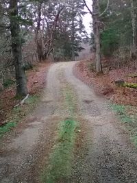 Dirt road amidst trees in forest