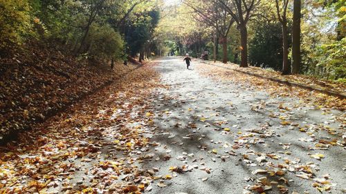 People walking on footpath in park during autumn