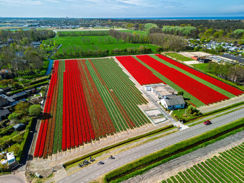 High angle view of agricultural field