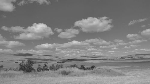 Scenic view of landscape against sky