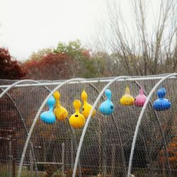 Close-up of multi colored grass