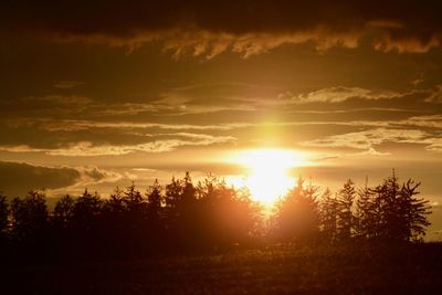 Silhouette trees on landscape against sky at sunset