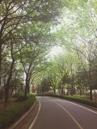 Empty road along trees