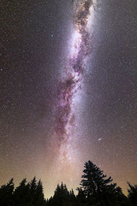 Low angle view of silhouette trees against sky at night