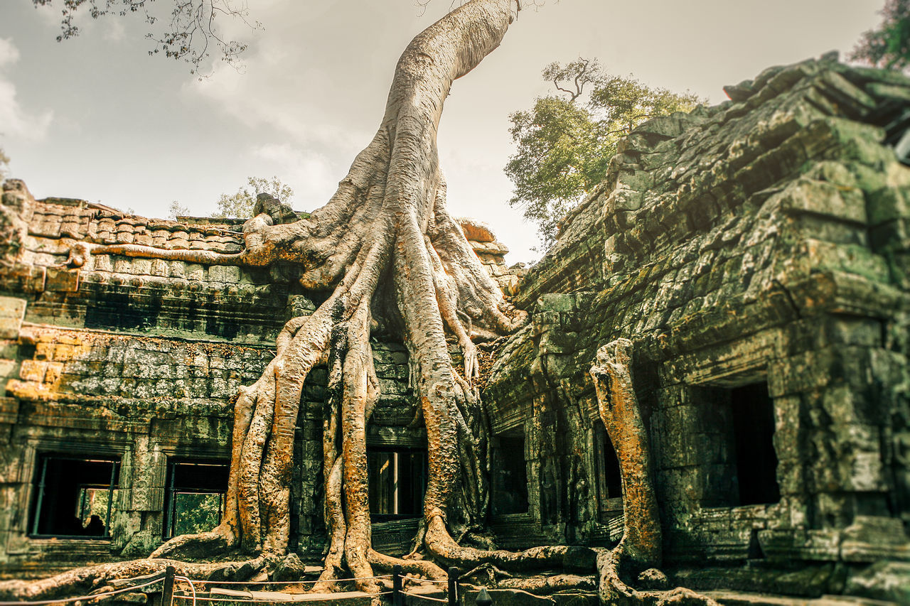 VIEW OF OLD TEMPLE BUILDING