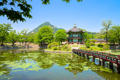 Reflection of trees in water