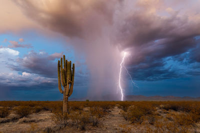 Dramatic lightning strike from a monsoon thunderstorm in the arizona desert