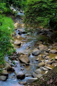 Stream flowing through rocks in forest