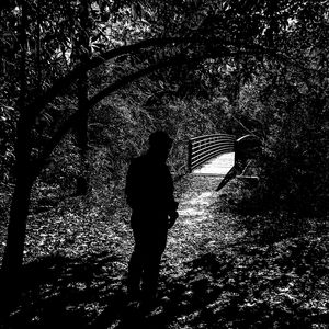 Rear view of silhouette man standing by trees in forest