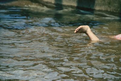 View of a person swimming in lake