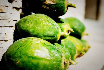 Close-up of insect on fruit