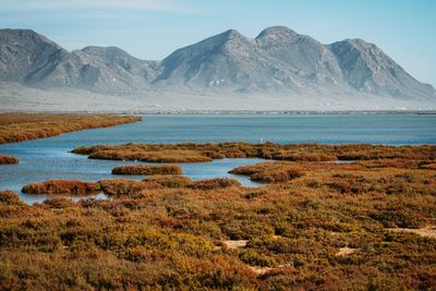 Scenic view of lake and mountains