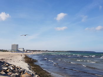 Seagull flying over beach against sky