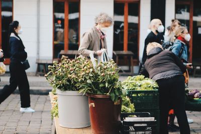 Group of people walking on potted plant in city