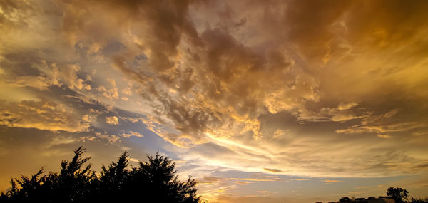 Low angle view of silhouette trees against sky during sunset