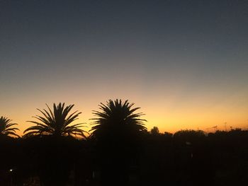 Silhouette of palm trees at sunset