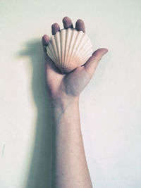 Close-up of hand holding plant against white background