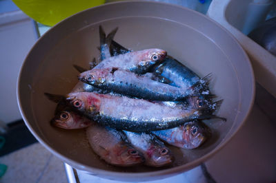 Close-up of food