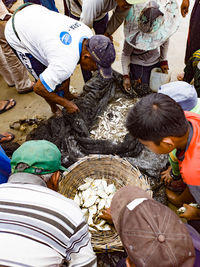 High angle view of people and umbrellas