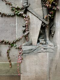 Close-up of ivy on wall