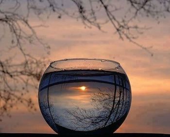 Close-up of reflection of tree against sky at sunset