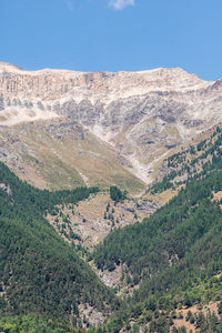 scenics - nature