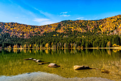 Scenic view of lake by trees against sky