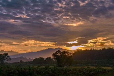 Scenic view of field against sky during sunset