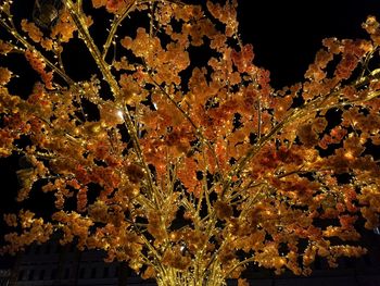 Full frame shot of water against black background