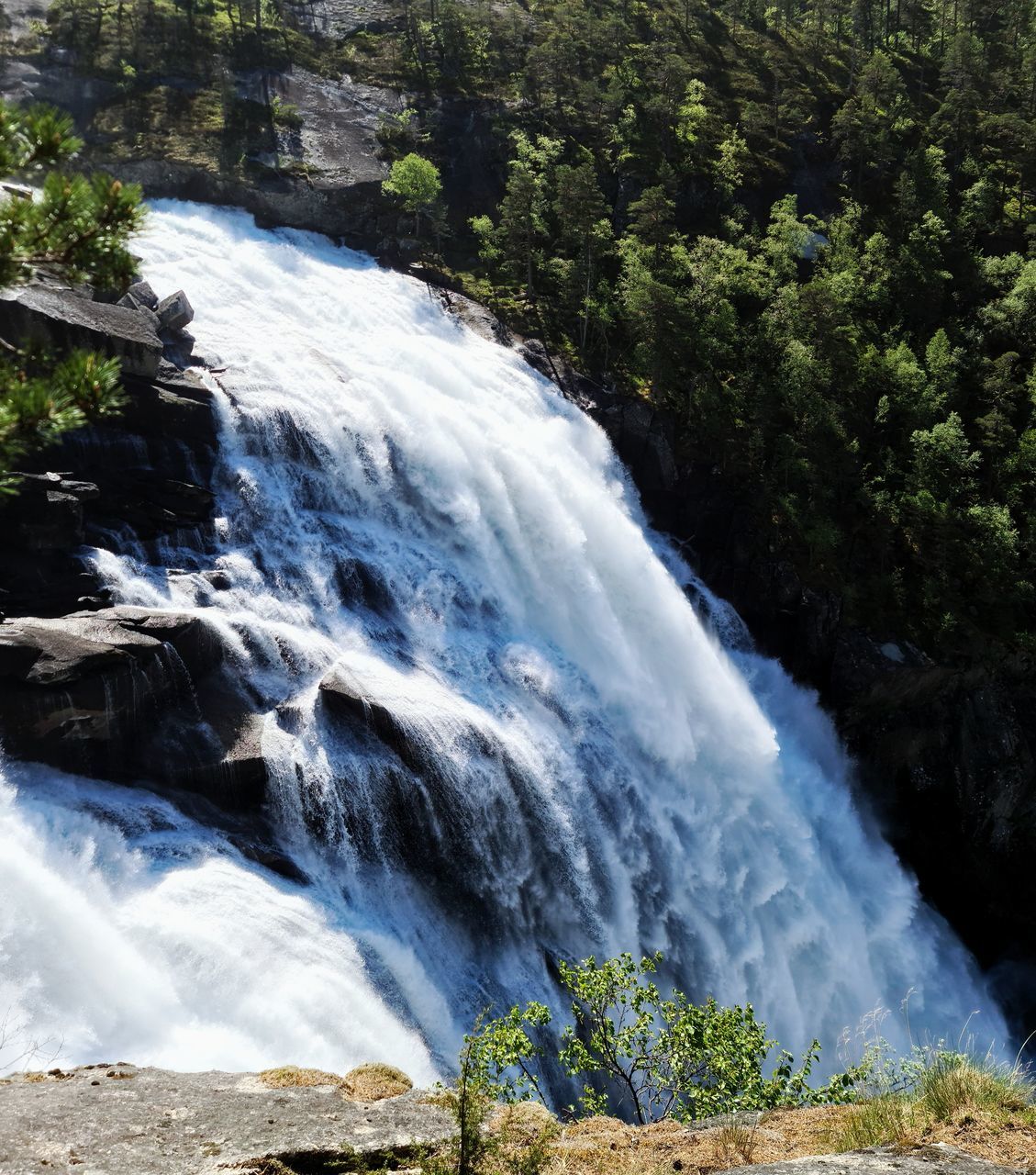 WATERFALL IN FOREST