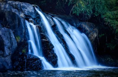 Scenic view of waterfall in forest