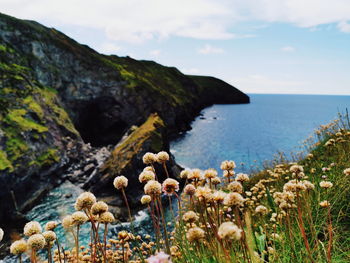 Scenic view of sea and rocks against sky